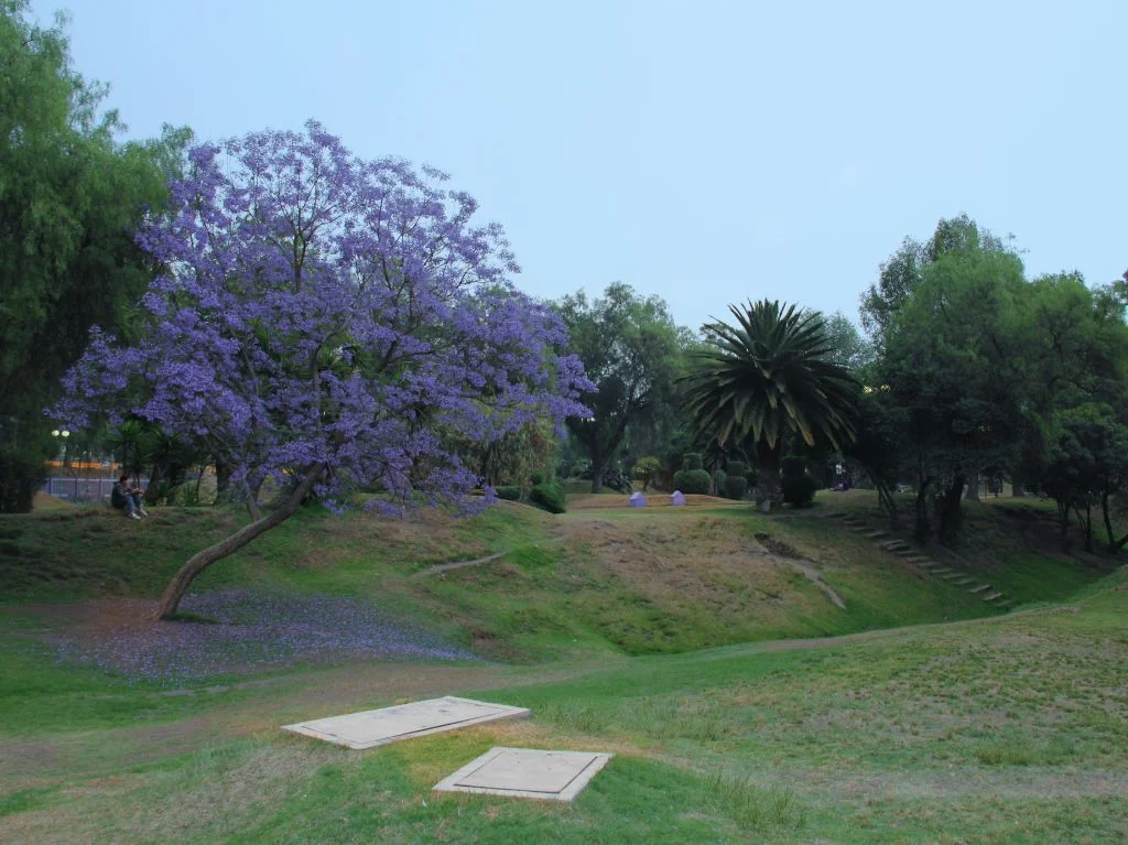 La imagen tiene un atributo ALT vacío; su nombre de archivo es cenart-area-verde.jpg