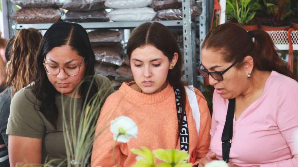 En el bazar encontrarás asesoría y dirección para cuidar tus plantas.