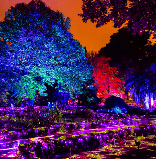 La experiencia Alicia atrae todos tus sentidos / Créditos: fever