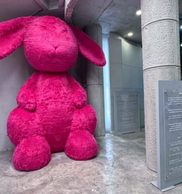 IMAGINE en CDMX - FOTO @_imagine_m_
AIMAGINE en CDMX - FOTO @_imagine_m_
