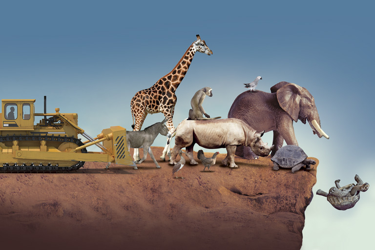 La desaparición de especies a causa de la contaminación aumenta cada día más.