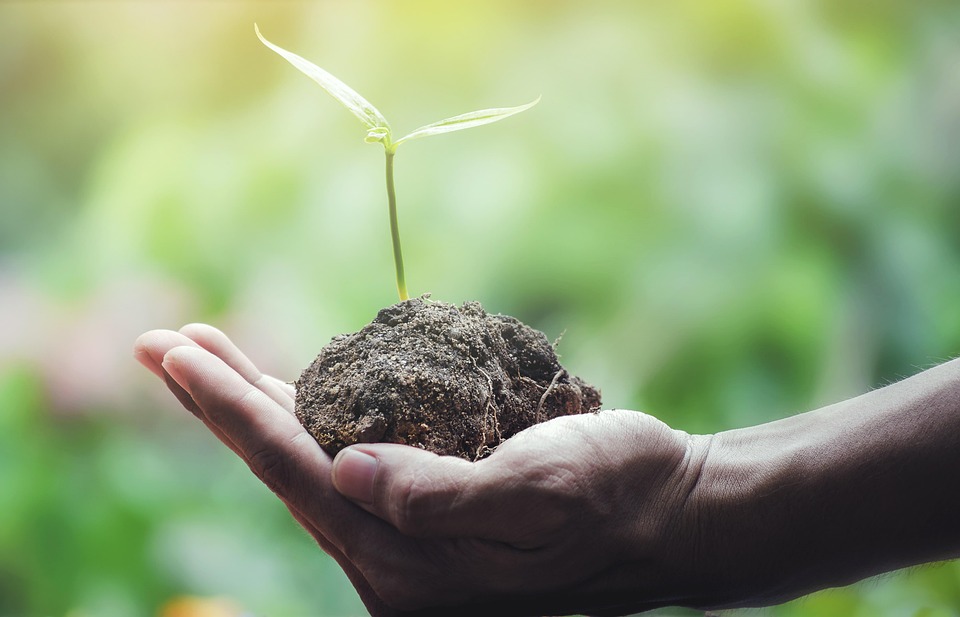 La jornada busca crear conciencia por el daño ocasionado al medio ambiente. 